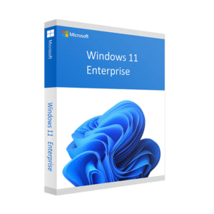 Win 11 Enterprise